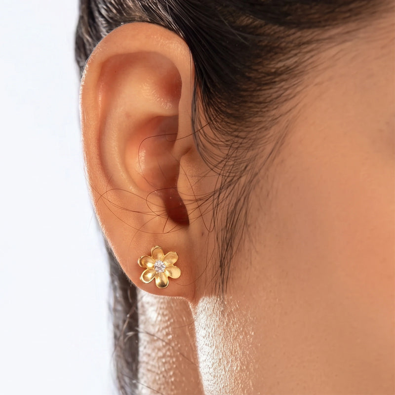 Earrings - 925 Silver