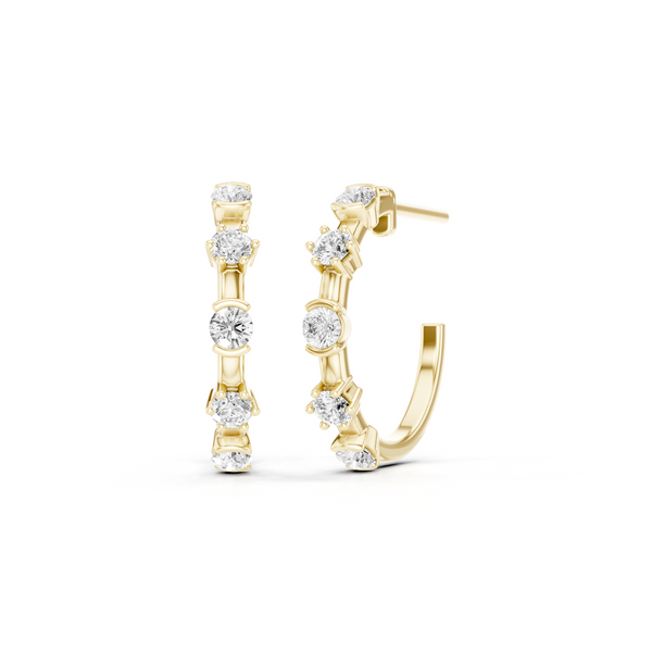 Vega Hoops